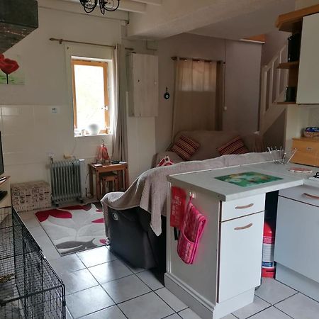 Le Petit Verger, 1 Impasse De La Fenouillere 61330 Céaucé Exteriér fotografie