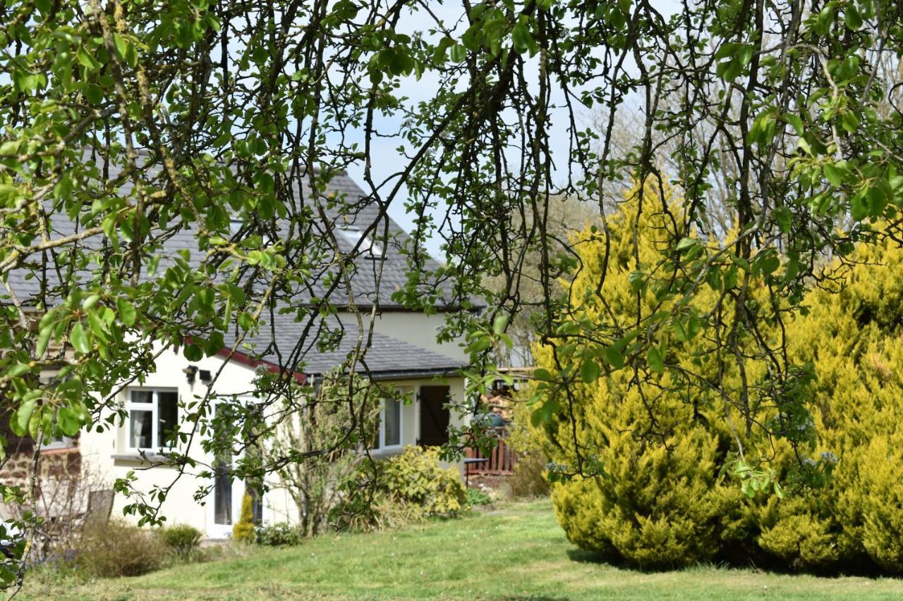 Le Petit Verger, 1 Impasse De La Fenouillere 61330 Céaucé Exteriér fotografie