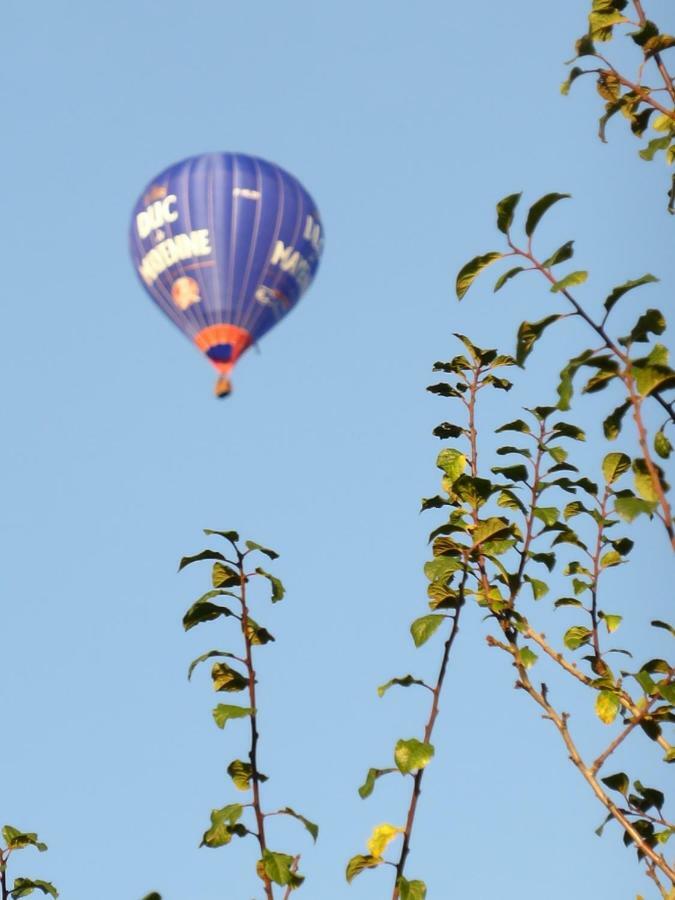 Le Petit Verger, 1 Impasse De La Fenouillere 61330 Céaucé Exteriér fotografie